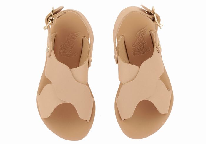 Sandales Casual Ancient Greek Sandals Little Atokos Soft   | WUJ-2141075